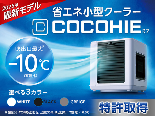 ここひえ どこで売ってる ドンキ